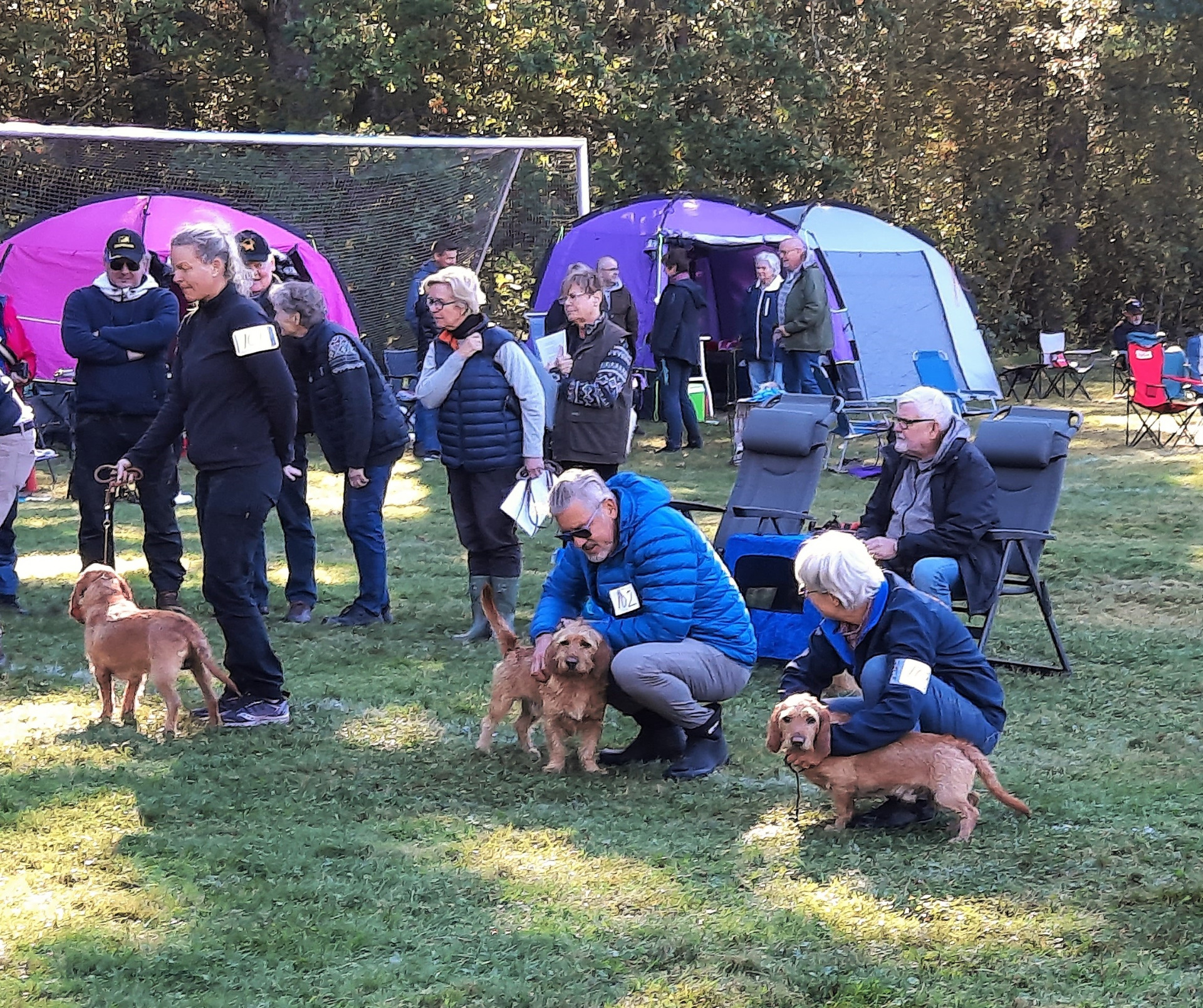 Fiskjällets Bastian, Bill o Borka
