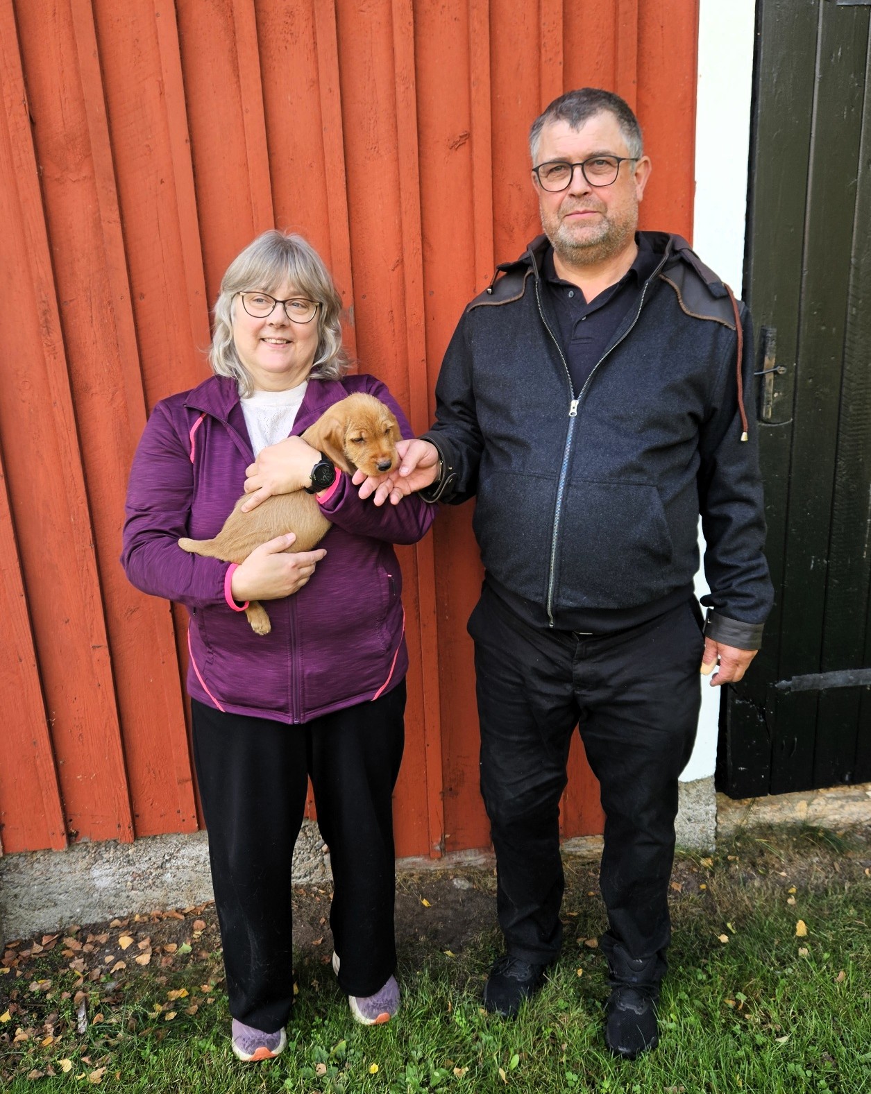 Fiskåfjällets Ilex har flyttat till Fam. Ekström i Björklinge